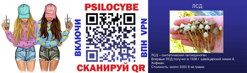 Псилоцибиновые грибы прущие грибы  магазин продажи наркотиков  Юрюзань 
