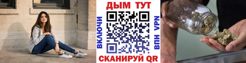 Конопля гибрид  Юрюзань 